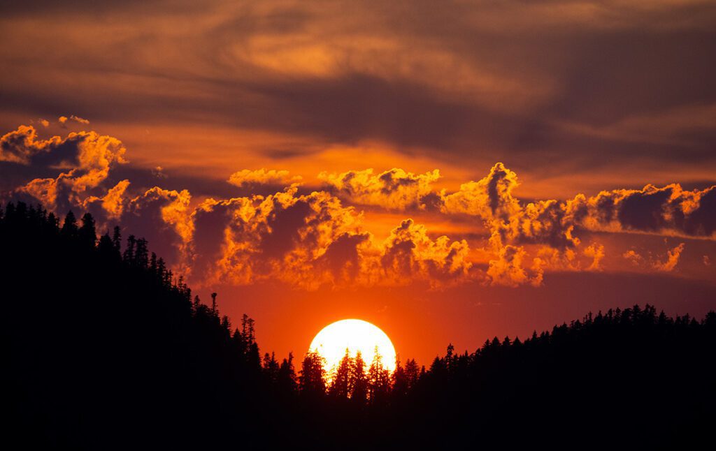 The sun sets behind the old growth forest near edinburgh mountain close to the Fairy Creek blockades