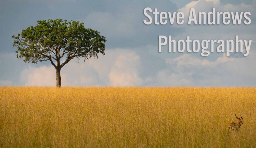 a view of the savannah in Uganda's kidepo national park at golden hour